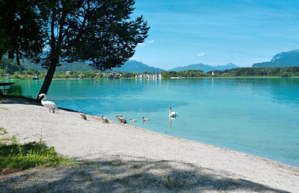 Pension Stissen Haus Am See Faak am See Exterior photo